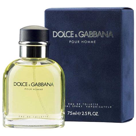 ensemble dolce gabbana homme|dolce gabbana pour homme review.